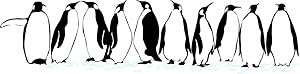 Design with Vinyl REMOV-6078-190 Decor Item Penguins Animals Kids Boy Girl Bedroom Picture Art Item Vinyl Wall Decal, 16-Inch x 26-Inch, Black