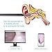 Ear Endoscope, KinCam Digital Ear Cleaning USB Otoscope Camera Tool with 6 Adjustable LED Lights, Suitable for Micro USB/Type-C/USB PC-Black (Not for iPhone)