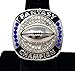Decade Awards 2018 Silver Fantasy Football Champion Ring | Style B | Heavy FFL League Champ Ring with Stand