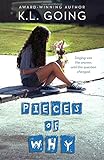 Pieces of Why