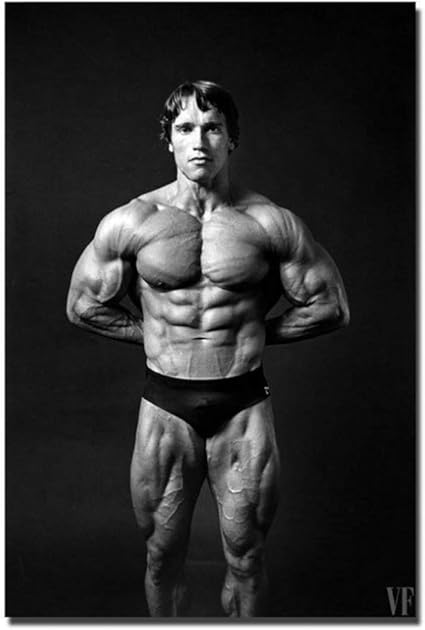 Arnold Schwarzenegger Olympia Bodybuilding Wall Sticker Poster Art