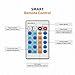 Led String Lights with Copper Wire (33ft. with remote) Dimmable Twinkle Fairy Star lights Wire Lights for Indoor Outdoor Christmas Decorative Lights for Seasonal Holiday Crafting