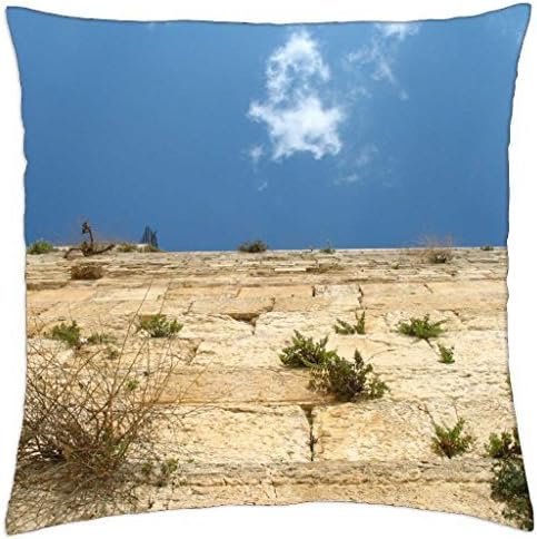 wailing wall western wall looking up jerusalem - Throw Pillow Cover Case (16
