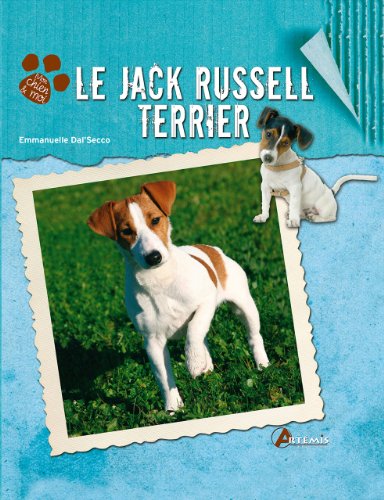 Le  Jack Russell Terrier