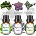 Skymore Top 6 Essential Oil Blend Gift Set, 100% Pure Aromatherapy Oils for Diffuser, Best Therapeutic Grade Essential Oil Kit - 6/10ml (Sleep, Breathe, Relaxation, Refresh, Immunity, Decompression)