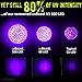 uvBeast NEW 68 LED 3 Modes – Compact Black Light UV Flashlight with HIGH POWER Beam 385-395nm - Best for Cat Dog Urine Detection Works Even in Ambient Light - Patented - Designed in UK