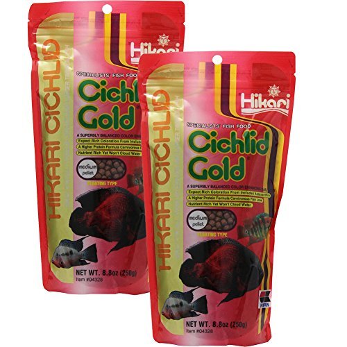 Hikari 8.8-Ounce Cichlid Gold Floating Pellets for Pets, Medium 2-Pack