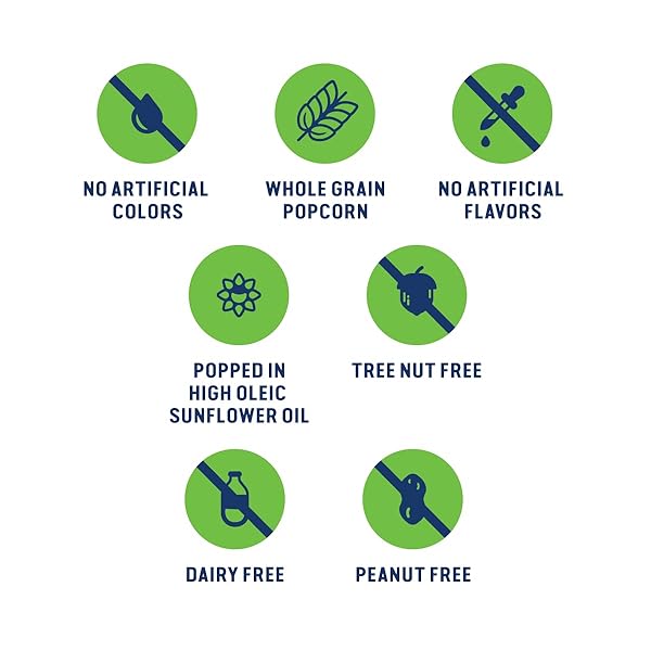 SKINNYPOP POPCORN, AVOCADO LIME, WHOLE GRAIN SNACK, DAIRY-FREE SNACK, 4.4OZ BAG