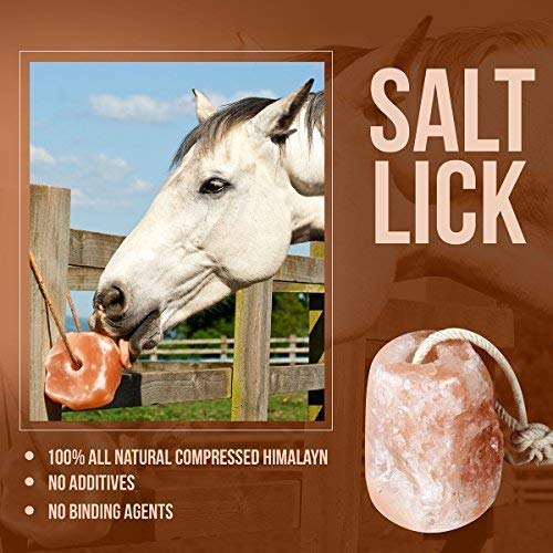 EXPRIMIR 6 lbs Himalayan Animal Lick Salt On Rope for Horses, Deer, and