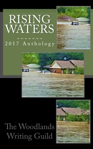 Rising Waters: The Woodlands Writing Guild 2017 (WWG Annual Anthology) (Volume 2)