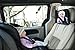 Alphabetz Large Baby Backseat Car Mirror Crash Tested-Shatterproof with Free Baby-On-Board Sign Pivoting Base, Black