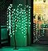 Fashionlite 5.5 FT Lighted Willow Tree 200 LED Weeping Willow Light Tree, All Season Decorations Home Garden/Wedding/Birthday/Holiday/Party Decoration