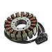 Motor Lichtmaschine Magneto Generator Engine Alternator Stator Coil Compatible with YAMAHA YZF 1000 R1 YZFR1 2002 2003