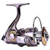 Sougayilang Fishing Reel Spinning -12+1BB Ultralight Smooth Powerful Spinning Reels for Freshwater Saltwater Bass Fishing