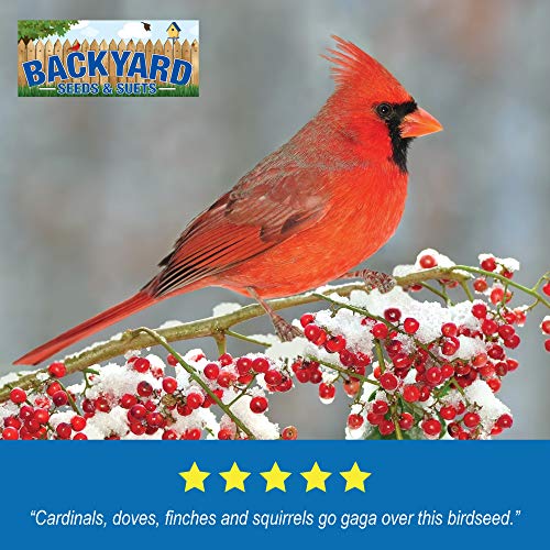 Backyard Seeds Safflower Bird Seed for Cardinals (20 Pounds) Pricepulse