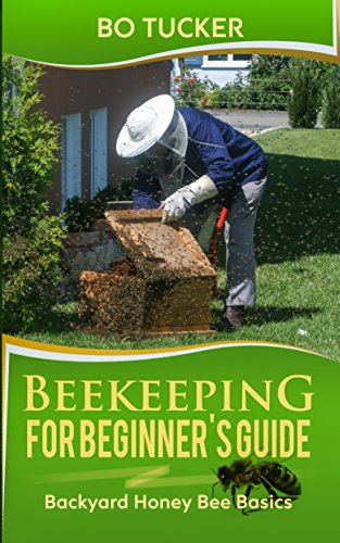 Beekeeping For Beginner S Guide Backyard Honey Bee Basics Bees