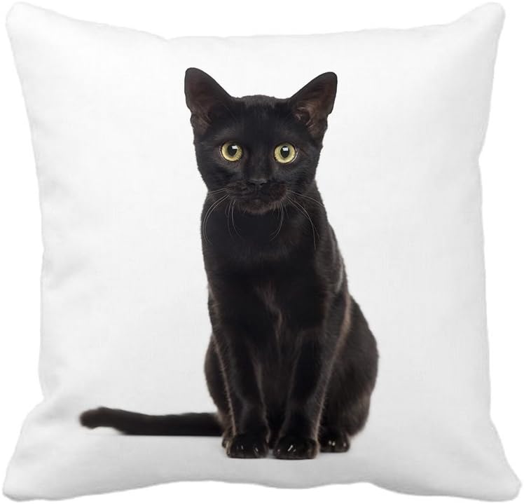 Halloween Black Cat Throw Pillow Case Cushion Cover Decorative 18" x 18"