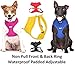 DEAF DOG Dexil Friendly Dog Collars Color Coded Dog Accident Prevention Leash 4ft/1.2m Prevents Dog Accidents By Letting Others Know Your Dog In Advance Award Winning