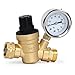 TargetEvo Adjustable Brass Lead-free Water Pressure Regulator Reducer With Gauge Inlet Screened Filter For RV (NH Thread)