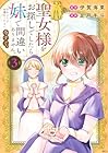 聖女様をお探しでしたら妹で間違いありません。さあどうぞお連れください、今すぐ。 第3巻