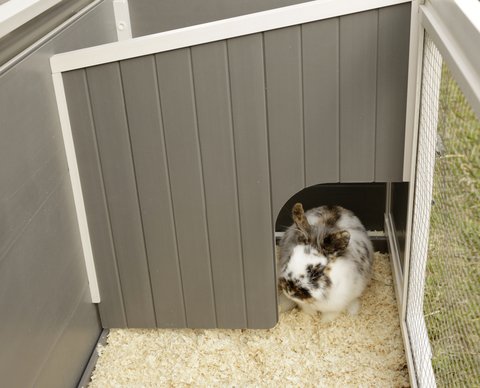 Kerbl 81730 ECO - Kunststoffstall Samy für Nager, Kunststoffwanne, WeiÃ/Grau, 1 Stück (1er Pack) – Bild 6