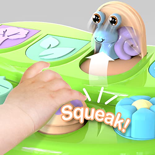 Pop Up Cause and Effect Toy Toys for 9 Month Old +, Baby, Early