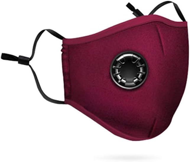 Eamplest Dust Mask, Mask Protective Mask Respirator Mask with 2 Replacement Filters, Reusable Washable Fine Dust Mask for Outdoor Dust, PM2.5, Pollution, Pollen etc,Red