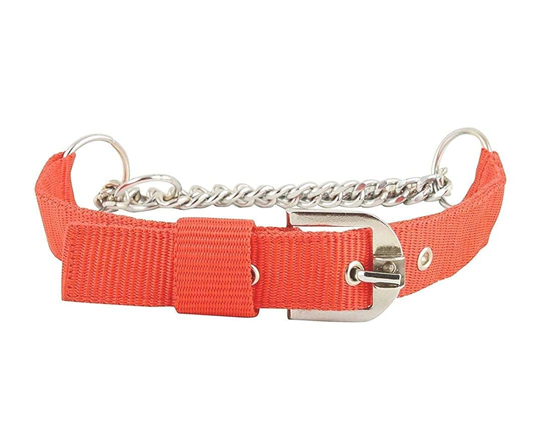 Buy Dog Choke Collar with Nylon Material and Shinny and Durable Chain