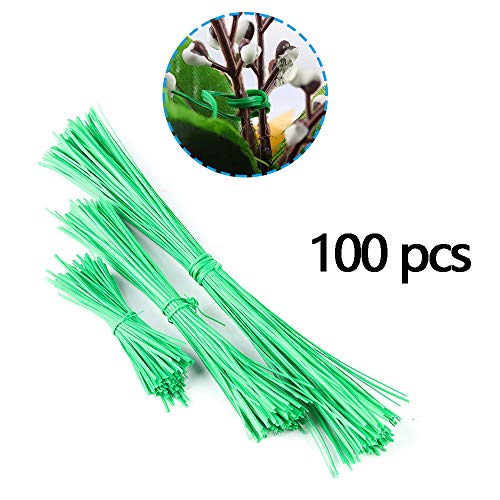 GALAGEE 100 PCS Garden Twist Tie Strips-Green Gardening Vine Climbing Plants Cable Tie Lines Plant Brackets Parts Bonsai Flower Cucumber Grape Rattan Supports (S:10cm)