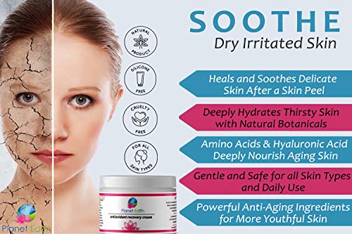 Planet Eden 40% Glycolic Acid Skin Chemical Peel Kit + Glycolic Pre-Peel Cleanser + Antioxidant Recovery Cream + Treatment Brush - Thumbnail 4