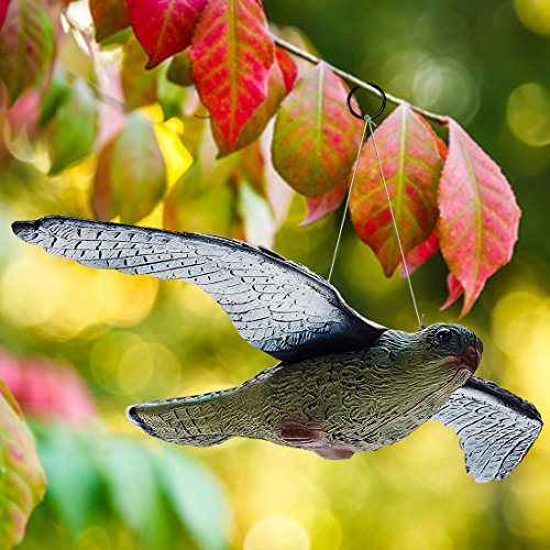 Premium Bird Repellent Fake Flying Hawk Decoy by BriteNway Hanging Lifelike Predator Scarecrow