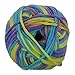 Charmkey Baby Cotton Yarn Simply Soft Boutique 4 Ply Medium Acrylic Blended Worsted Dungarees Knitting Yarn for Spring Summer Wear, 2 Skeins, 3.53 Ounce (Multiful(50 g × 2))