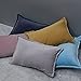 Aitliving Decorative Throw Pillow Cover 1 pc 12x20 inch Cotton Canvas Muted Slate Blue Trellis Embroidery Dark Blue Mina Lumbar Pillow Case Cushion Cover, Navy Blue Dark Lumbar Pillow Sham 30x50cm