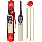 Junior Cricket Bat Set Wooden Gift Size 4, 6 Includes Stumps Ball Bat Carrying Bag