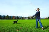 Chuckit Pro 26XL Dog Ball Launcher with XL Tennis Ball 66cm view 2
