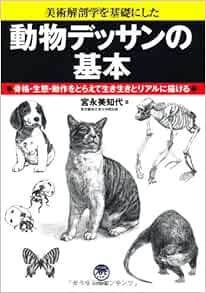 動物デッサンの基本 ナツメ社artマスター Amazon Com Books 動物デッサンの基本 ナツメ社artマスター Amazon Com Books