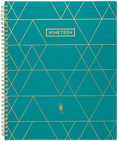 inkWELL Press 2019 Weekly & Monthly Planner, liveWELL, 8-1/2" x 11", Large, Teal (IP621-905)