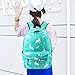School Backpack for girls, Libay Student Bookbag Casual Lightweight School Bag