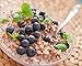 Food to Live Organic Buckwheat Groats, 20 Pounds – Whole Grain Buckwheat Seeds by Food to Live. Hulled, Non-GMO, Kosher, Raw, Vegan, Sirtfood. Buckwheat Cereal in Bulk