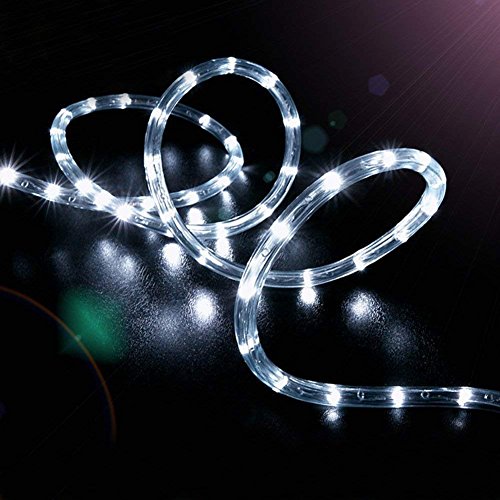 WONFAST Solar Rope Lights Outdoor,WONAFST 39ft 100LED LED Rope Lighting Waterproof Copper Wire Rope String Light for Christmas Home Garden Patio Parties Decor (White)