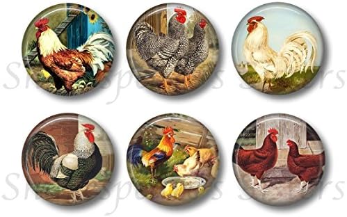Chicken and Rooster Magnets - Set of Six 1.5 Inch Magnets - Farm Kitchen Decor - Farm Magnets