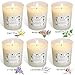YYHC Set of 6 Scented Candles 100% Soy Wax Glass, Home Fragrance Candle Gifts
