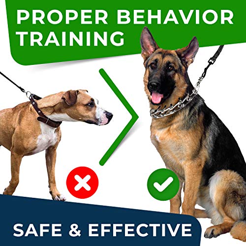 long prong shock collar