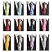 WeiShang Classic Men's Silk Tie Necktie Woven JACQUARD Neck Ties