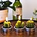 COCOMOON Cactus Tea Light Candles, 6 Pcs Decorative Candles with Artificial Succulents, Unscented, 30 min Burn Time, Modern Design, Perfect for Home Decor, Party, Wedding