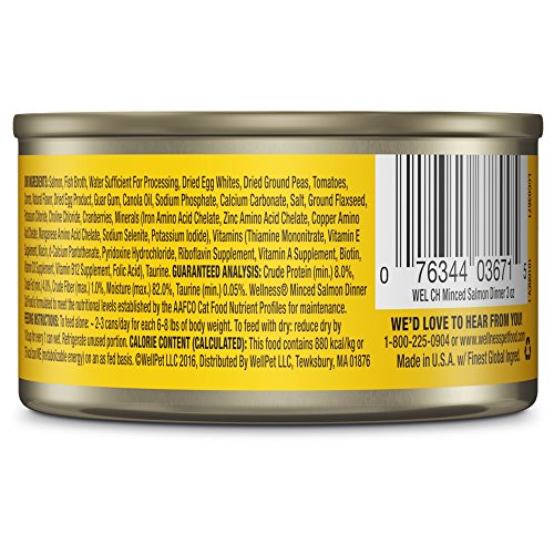 Wellness Complete Health Natural Grain Free Wet Canned Cat Food, Minced Salmon Dinner, 3-Ounce Can ( - //medicalbooks.filipinodoctors.org