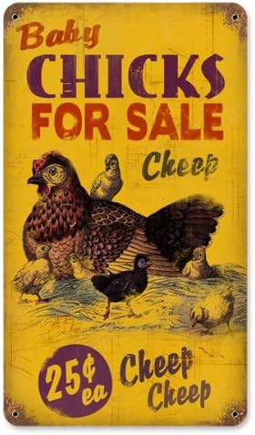 Past Time Signs PTS202 Chicks for Sale Home and Garden Vintage Metal Sign