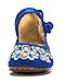 AvaCostume Women's Chinese Embroidery Casual Mary Jane Travel Walking Shoes Blue 39