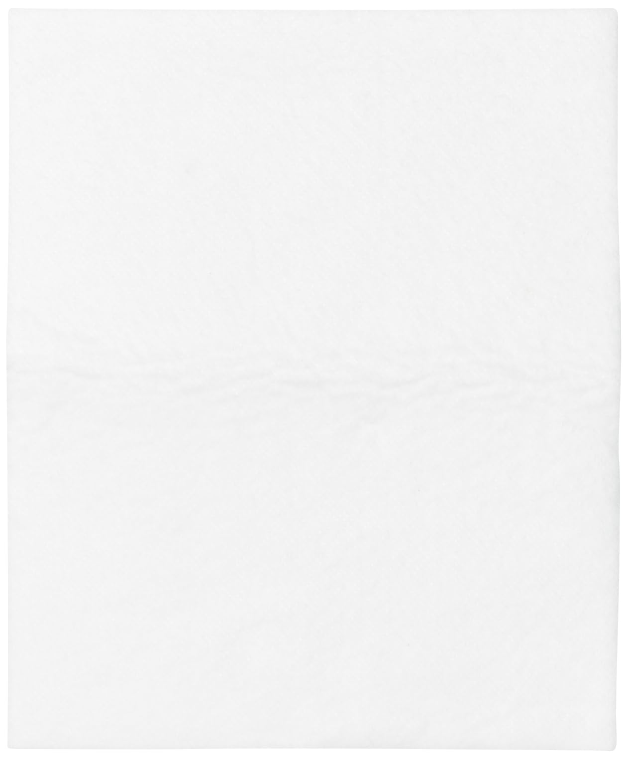 Paxanpax Universal Non Original Cut to Size Vacuum Cleaner Microfilter, 255 x 202 mm, White