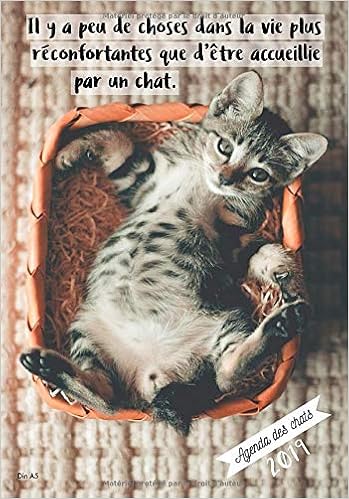 Amazon Fr Agenda Des Chats 2019 Din A5 Il Y A Peu De Choses Dans La Vie Plus Reconfortantes Que D Etre Accueillie Par Un Chat Agenda Organiseur Pour Ton Quotidien Janvier